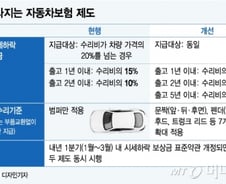 [단독]출고 2~5년 중고차도 사고 나면 시세하락 보상금 받는다