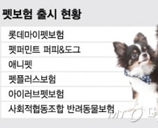 [단독]동물병원에서 진료받고 보험금 청구, 한번에 한다
