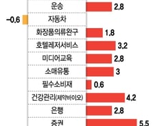 "1월효과 기대 낮춰야"…2019년 초반장세 '안갯속' 