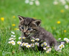 옳은 사람이 되기를 택할까, 사랑을 택할까