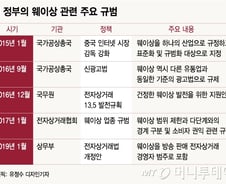 [MT리포트]111조 시장 만든 中 1인마켓 '웨이상'