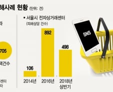 [MT리포트]번창하는 1인마켓, 소비자 보호는 '사각지대'