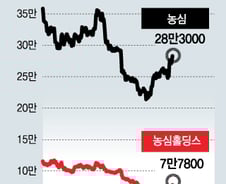 주주행동주의 원년, 농심홀딩스 빛볼까