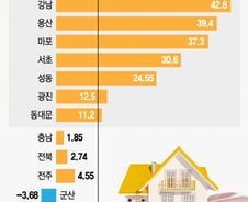 [단독]강남 표준주택가격 42.8%↑…전국평균 '4배'