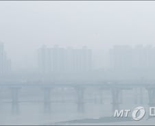 [MT리포트]"호흡기 위험하다" 미세먼지 기승에 환자도 증가