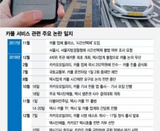 카카오 카풀 전격 '중단'…택시·카풀 대화 이뤄질까