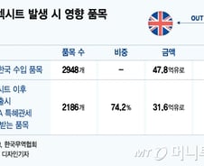 한국산 車에 관세 10% 부활.. '노딜 브렉시트'에 산업계 타격 우려
