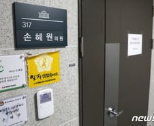 '4일동안 44개'…손혜원, 페이스북 해명·반박