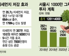 [단독]서울시 2022년까지 '공기청정 나무' 1000만그루 심는다