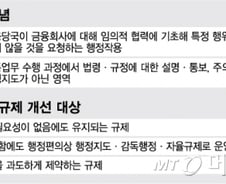 [단독]"소비자보호면 프리패스?" 금융당국 '그림자규제' 손본다