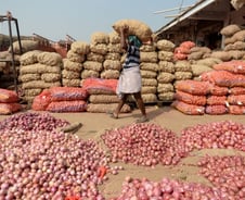[MT리포트]'750kg에 1.7만원?' 양파의 습격에 인도 정권교체되나