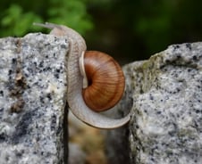 "경기민감주, 수출주 중 대형주 중심의 2차 반등 예상"