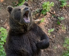 2월 코스피, 한 템포 쉬어갈 때