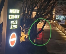 "공짜술은 이젠 안마셔요"…'버닝썬' 가보니