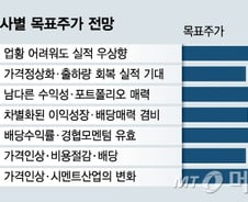 "저평가+고배당"…쌍용양회 올해 얼마나 오를까