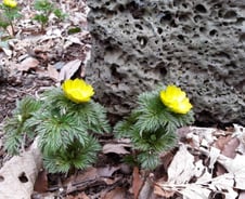 가슴이 뛰는 일! 그것이 나의 사명이다