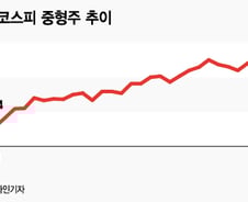 저평가된 중형주의 반란…대형주 무게중심 이동 시작