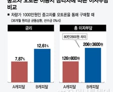 [단독]중고차 대출 '편법 중개수수료' 낮춰 고객 부담 줄인다