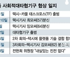 [MT리포트]"택시냐, 카풀이냐"…골치아픈 대타협기구, 해결책은 '이익 공유'