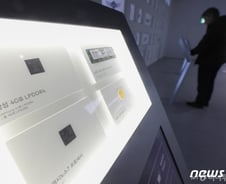 예상보다 큰 가격하락…반도체株의 약세