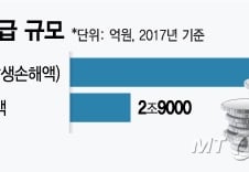 [단독]중기부, 대형 손보사 4곳 수리비 부당지급 실태조사