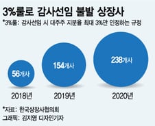 [MT리포트]3%룰 때문에…'평생감사' 나오나