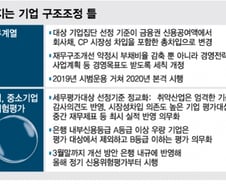 [단독]낡은 기업구조조정 틀, 10년만에 고친다
