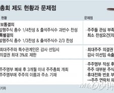 [MT 리포트]주총 때마다 '곡소리'나는데…먼지 쌓인 상법개정안