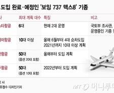 '보잉 737 맥스8' 잇따른 추락…국토부, 긴급 안전점검