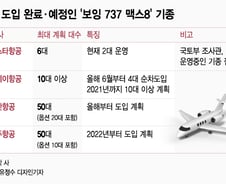 '보잉 737 맥스8' 추락…발등에 불떨어진 항공사