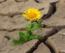 "오를 건 오른다"…짙어진 종목장세 대응전략 