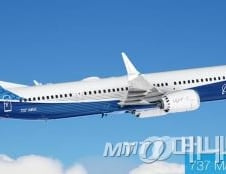 이스타항공 '보잉 737 맥스8' 운항 중단