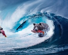 "또 온다"…'베어마켓 랠리' 후반전을 기다리며