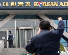 "행동주의 투자자가 이겼다" 외신도 조양호 대표직 상실 관심