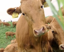 [2018 재산공개]한우에서 첼로, 롤렉스까지 의원님 '별별 재산'