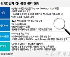 [MT리포트]'감사품질'이 생명…"이젠 양보다 질"