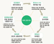 [MT리포트]시장개혁 촉발 신외감법…진통 불구 '가야할 길' 