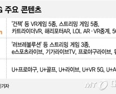 [MT리포트]"VR이 5G 킬러콘텐츠?"···깊어가는 이통사 고민