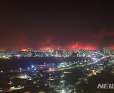 野 질의 때문에…속초 산불에도 국회에 붙잡힌 靑 안보실장
