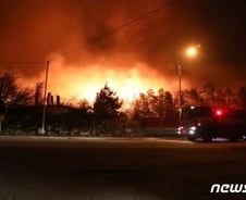 고성 산불 피해 '일파만파'…전국소방차 동원했지만 강풍에 진화 어려움