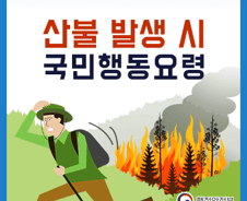 산불 국민행동요령은? "바람 등진 방향으로 대피"