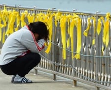 "악플, 잡고보니 아들 또래"…누가 세월호를 혐오하나