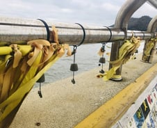 5년전 시간이 멈춘 그곳, 진도·안산에 가보니