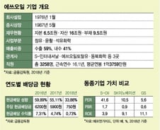 "이익 60% 주주에게"…S-Oil '배당천재' 된 이유
