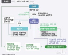 [단독] '승계목적' 명목회사에 지분 몰아주기, 증여세 과세는 위법?