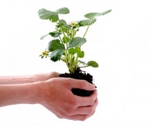 게임만 하던 아들이 미친 듯 공부를 시작했다…이유는?