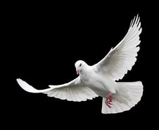 금통위 이후 반등한 증시, 대응전략은