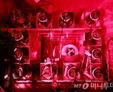 [MT리포트]지하 700m 암흑서 우주 기원 밝힌다…암흑물질 흔적 찾는 '크리스털' 언론 첫 공개