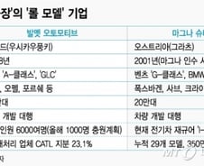 [단독]'폭스바겐'아닌 '마그나'가 정답…유럽 간 광주시-현대차
