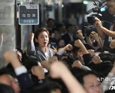 나경원 "민주당 국회선진화법 운운 어불성설…책임 靑·與에"